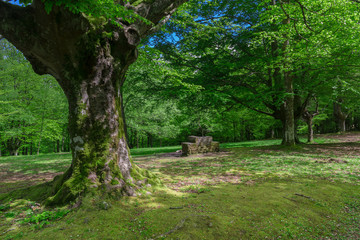 Parque natural de Urkiola