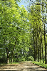 Fototapeta premium miejsce do wypoczynku