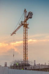 Fototapeta na wymiar Tower cranes