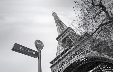 Eiffel Tower or Tour Eiffel in Paris in Spring, black and white picture