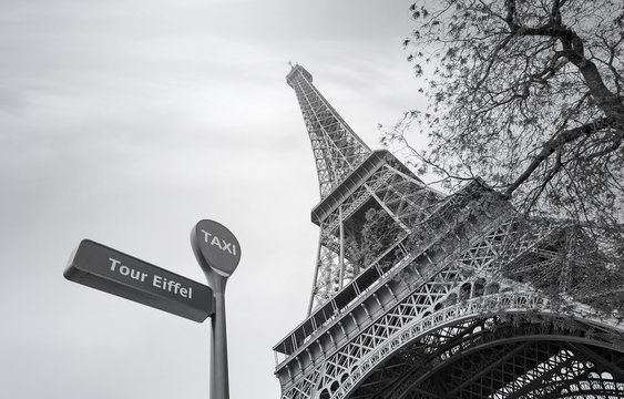 Fototapeta Eiffel Tower or Tour Eiffel in Paris in Spring, black and white picture