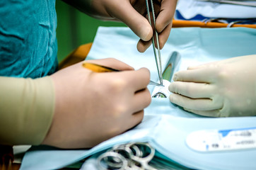 A cardiosurgeon sews a conduit of special material to later insert it into the patient's heart.