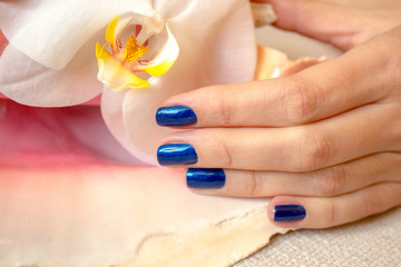 Obraz na płótnie Canvas Female hands with bright blue manicure holds a orchid flower