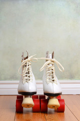 front view women quad roller skates