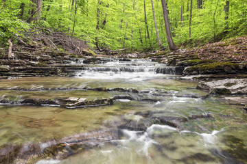 Obraz premium Woodland Brook - Fall Creek Waterfall - Putnam County, Indiana