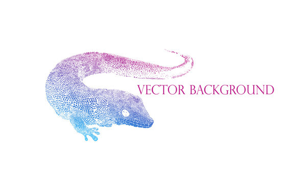Lizard gecko vector illustration. Figure spots