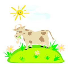 Vector illustration of a cow chewing on a flower and the grass in the meadow