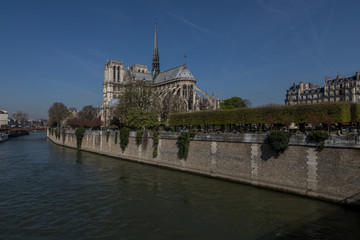 Fototapeta premium Notre Dame in Paris, France, World Heritage