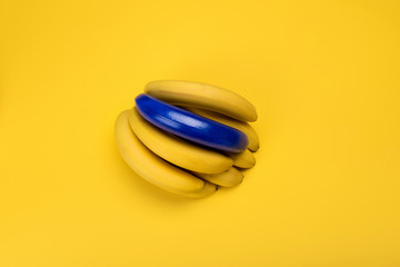 Top view of blue and yellow bananas isolated on yellow, bunch of bananas