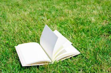 草原と白い本