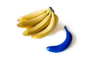 Close-up view of bunch of fresh ripe bananas and blue one isolated on white