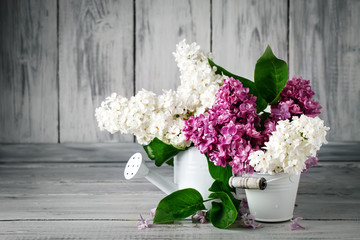 Branches are colored lilac in a basket on the background of wooden boards.