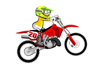 Obraz premium Motocross rider isolated over white backgrorund . Cartoon style.