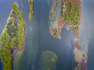Lake and forest during spring time. View from above. Pogoria IV in Dabrowa Gornicza, Poland.