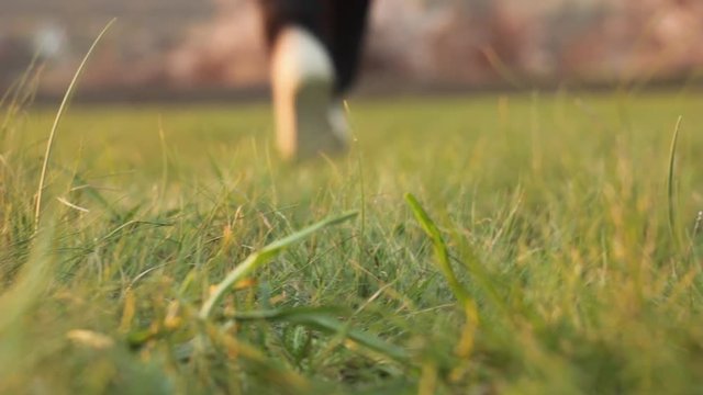 Summer footwear, advertising video.