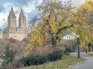 Central Park, New York City in late autumn