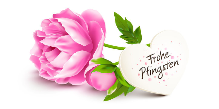 Pfingstrose mit Grußkarte zum Pfingstfest - Frohe Pfingsten Stock Vector