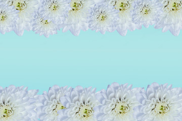 Obraz na płótnie Canvas Beautiful chrysanthemum flower