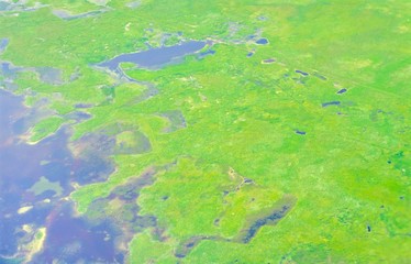 Fototapeta na wymiar Luftaufnahme von grüner, wilder Küste/ Wasserlandschaft/ Schwemmland, Dänemark, Europa