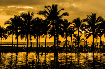 Fototapeta na wymiar Palm trees silhouettes