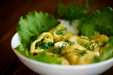Dumplings stuffed with potatoes with green onions