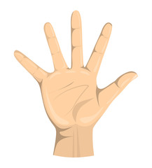 Isolated hand palm on white background