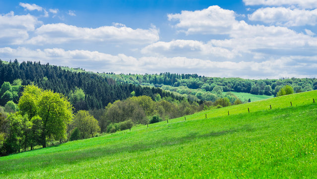 Deutschland Saarland Landschaft mit Viehweide und Mischwald im Frühling bei 66646 Marpingen