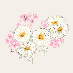 Daisies flower illustration