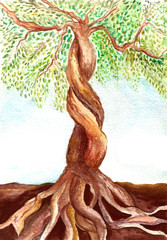 Tree with roots, water color illustration