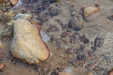 in the foothills of Mount Elbrus