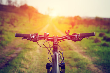 Naklejka premium Mountain biking down hill descending fast on bicycle. View from bikers eyes.