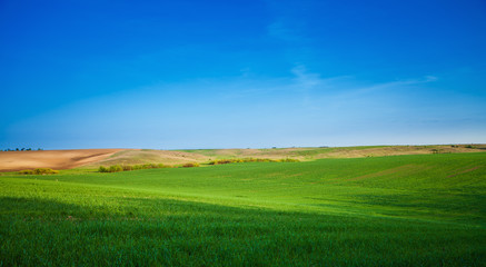 Green Field and Beautiful Sunset