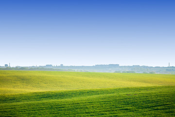 Green Field and Beautiful Sunset