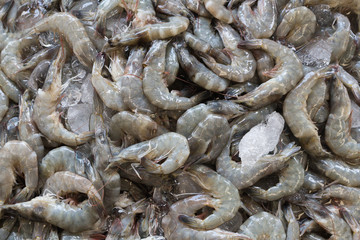 Fresh prawns at the market in Thailand
