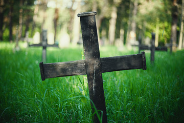 Old Graveyard in Park