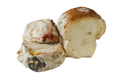 Bread and Fungus Isolate on White Background.