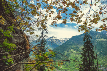 In the front tree with yellow leaf, two pines on background blue sky with clouds and Himalayan mountans