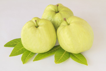 Guava (tropical fresh guava) isolate on white background.