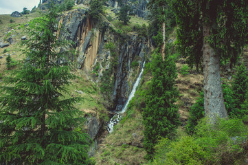 In the front: green pine on background big Jogini waterfall in Vashisht