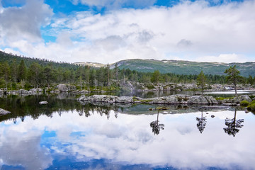 Green pine trees, mountains and the blue sky mirroring in a completely calm lake surface in a norwegian wilderness