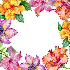 Wildflower hibiscus flower frame in a watercolor style isolated.
