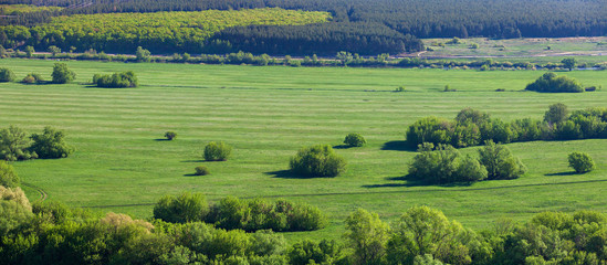 Panoramic view of the water meadow from a bird's eye view on a sunny day