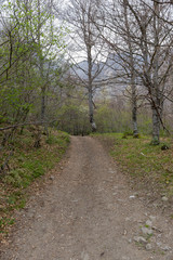 Strolling around Fuente de in the peaks of europe