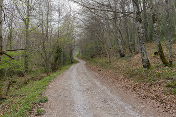 Strolling around Fuente de in the peaks of europe