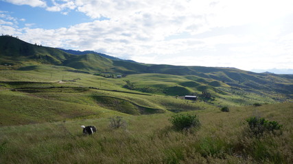 Obraz premium Exploring Washington State in the Springtime