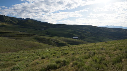 Exploring Washington State in the Springtime