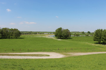 Rheinaue Walsum - Deichvorland