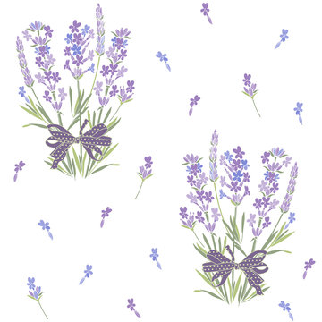 Seamless vector pattern with bouquets of lavender. Floral  illustration on white background.