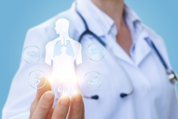 A medical worker shows the internal organs.