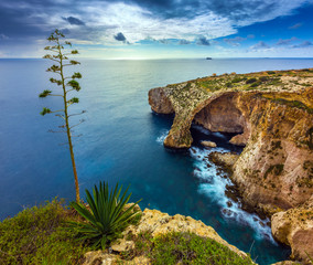 Malta - The beautiful arch of the Blue Grotto with tree